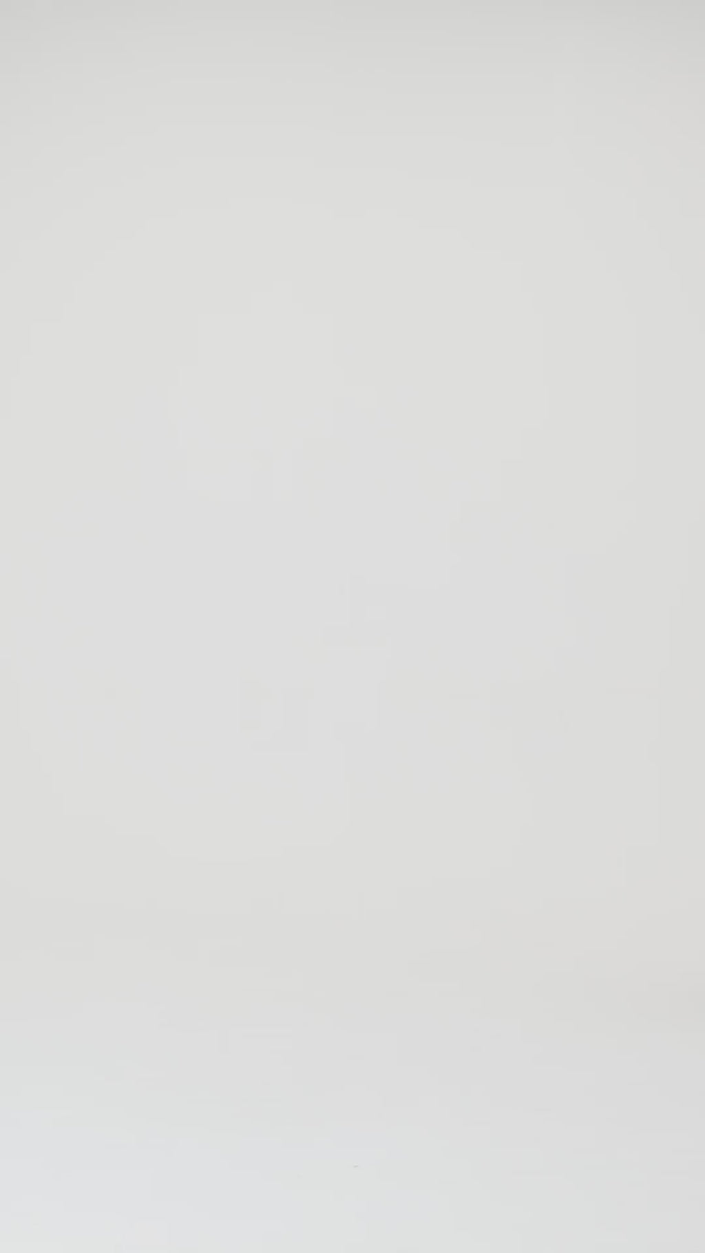 Long Sleeve Tee Oversized Fit 9.2oz (約260g) B