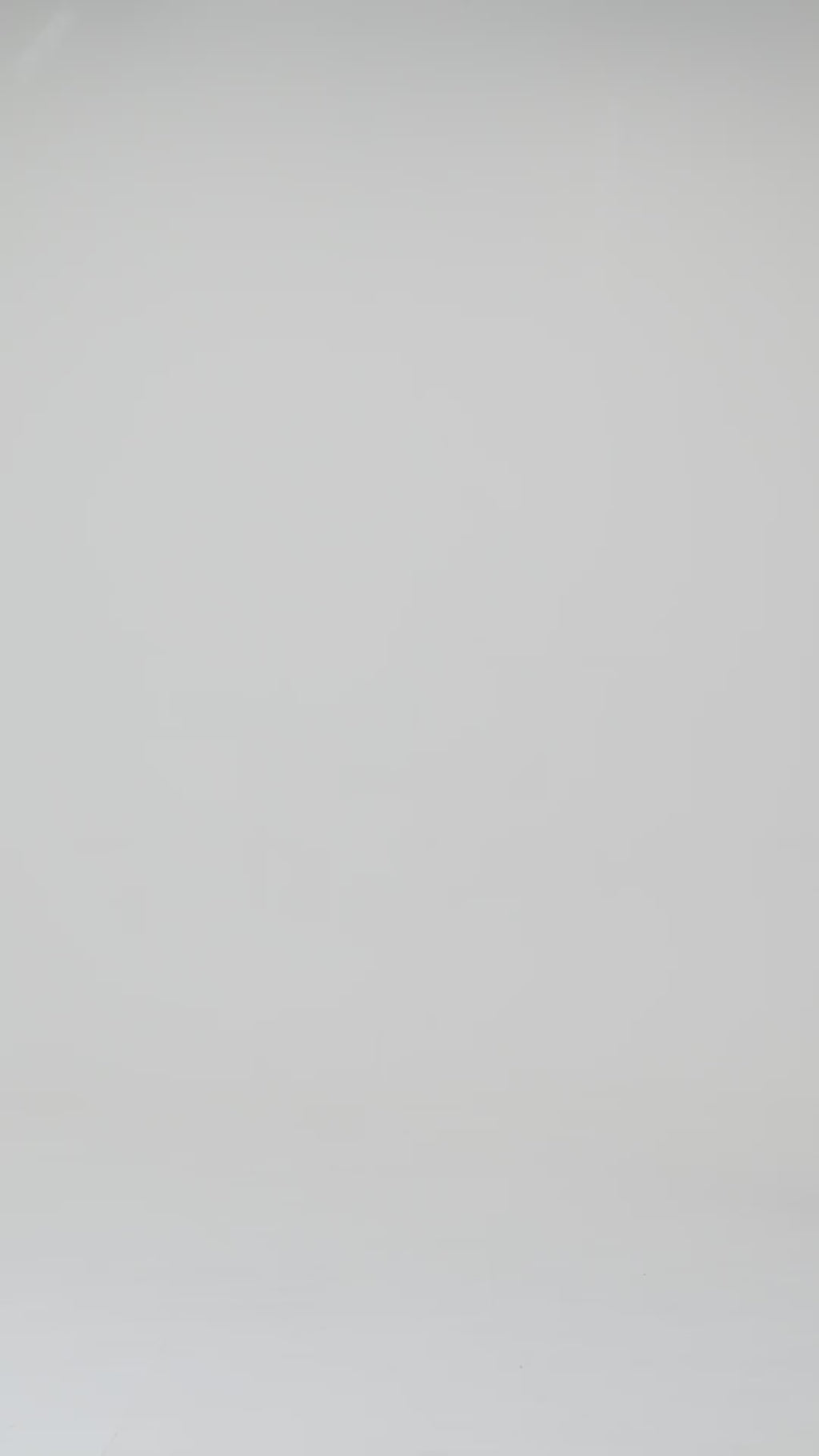 Sweatshirts Hoodies 15.2oz (約430g) B